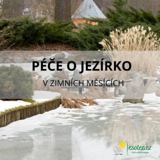 ❄️ Nový článek na našem blogu! ❄️ Zima je tady a je čas věnovat pozornost vašemu zahradnímu jezírku. 🐟🌿 Na našem blogu...